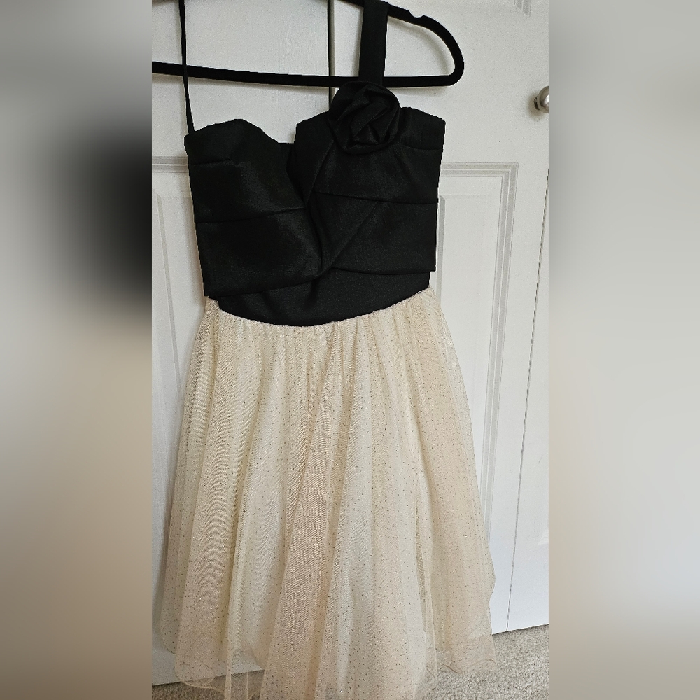 Elegant Black and Cream Dress